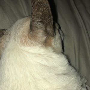 Meet your Posher, Gwen